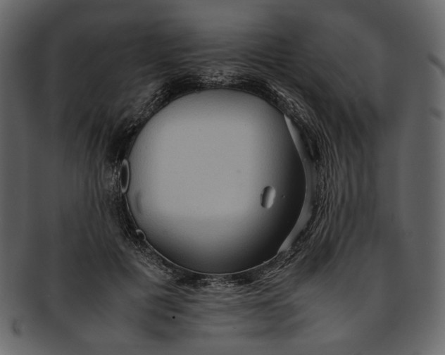 X0000093240601200710171442