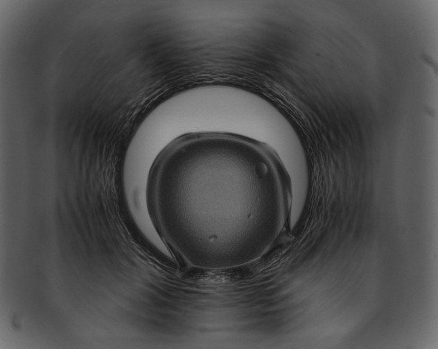 X0000093240604200710171442