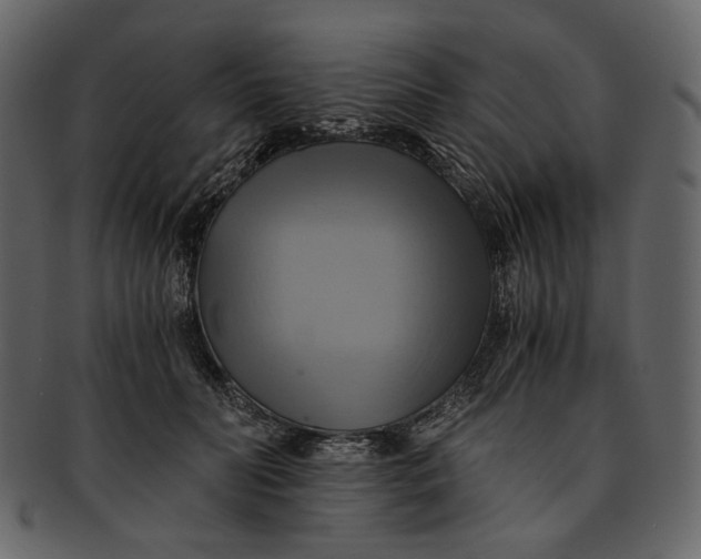 X0000093240606200710171442