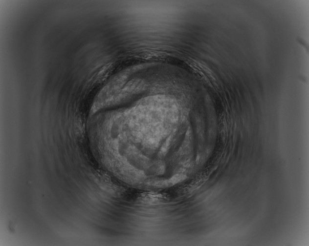 X0000093240607200710171442