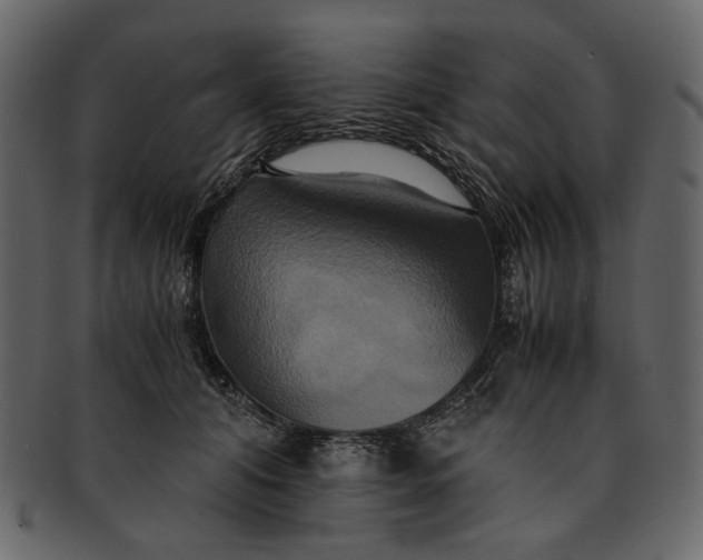 X0000093240608200710171442