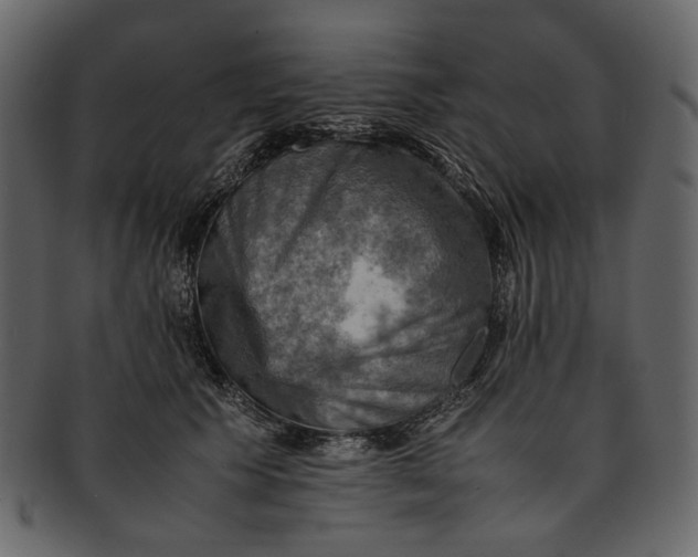 X0000093240609200710171442