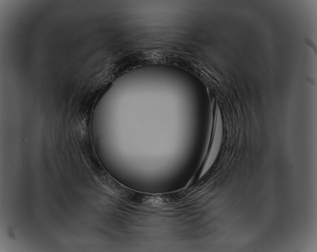 X0000093240611200710171442