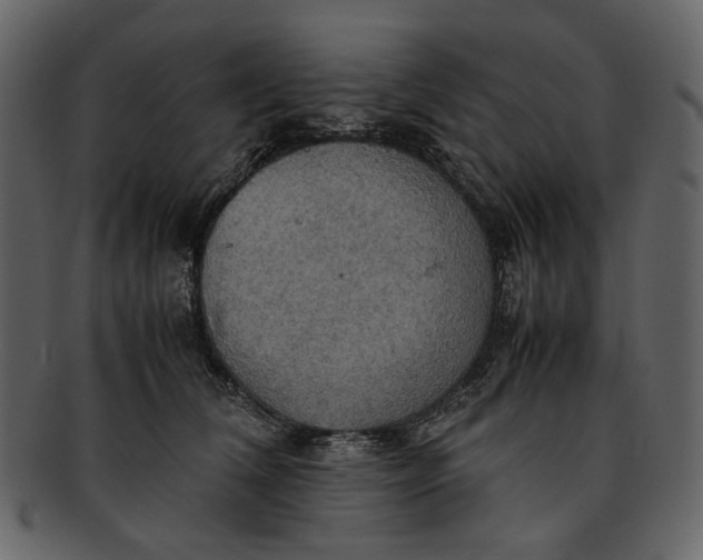 X0000093240612200710171442