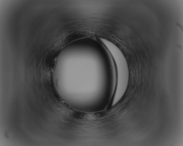 X0000093240613200710171442