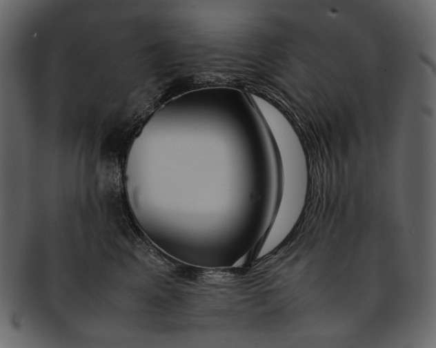 X0000093240617200710171442