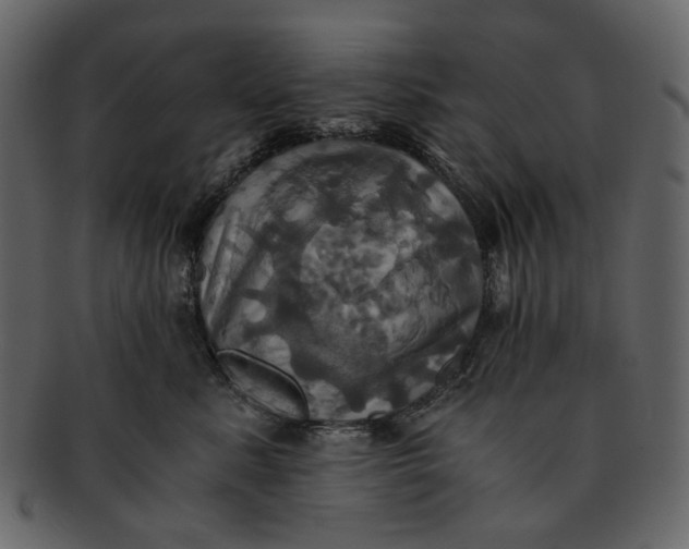 X0000093240619200710171442