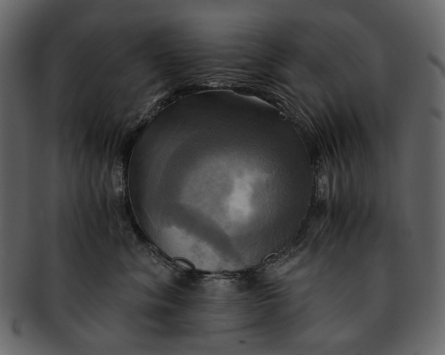 X0000093240620200710171442