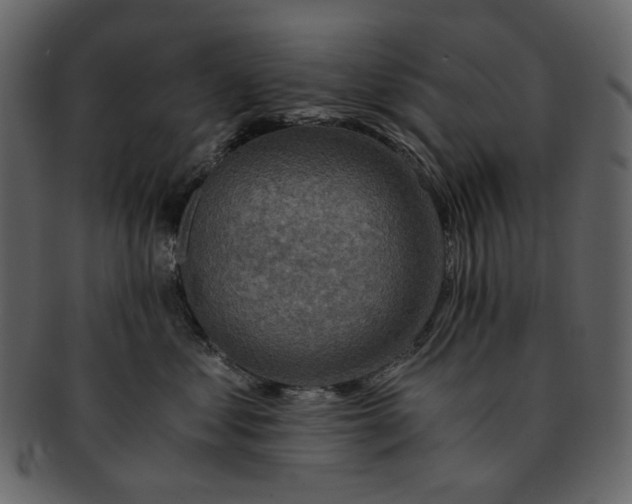 X0000093240621200710171442