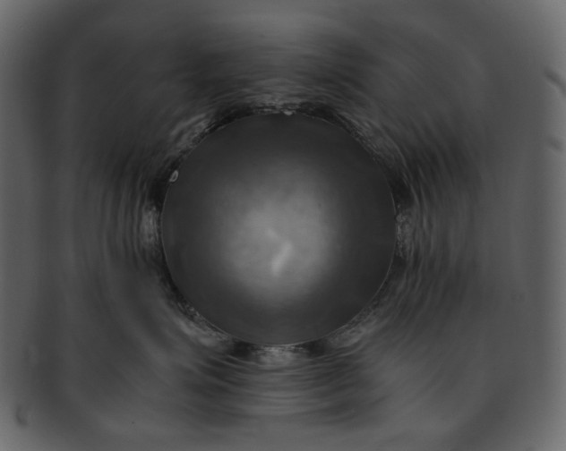 X0000093240623200710171442