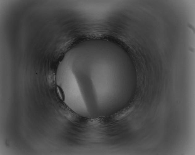 X0000093240624200710171442