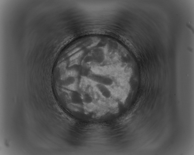 X0000093240625200710171441