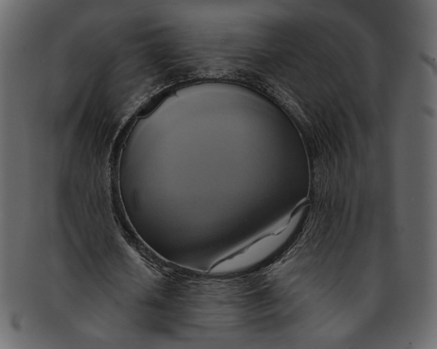 X0000093240626200710171441