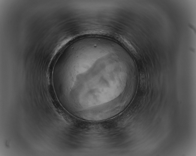 X0000093240628200710171441