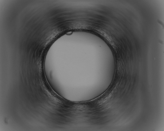 X0000093240629200710171441