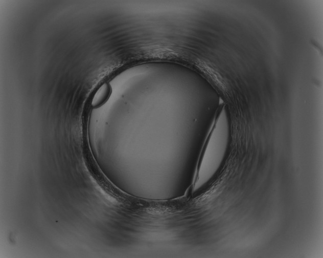 X0000093240630200710171442