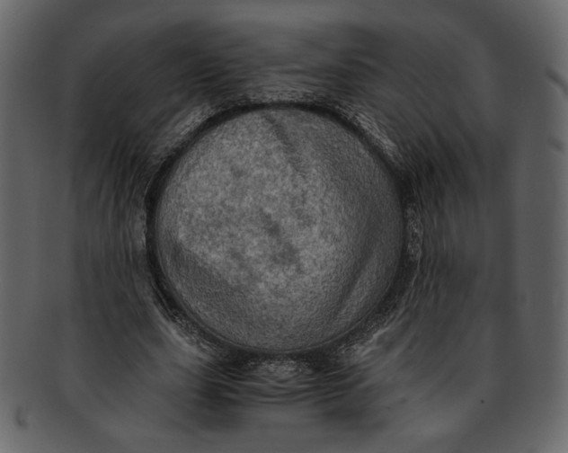 X0000093240631200710171442