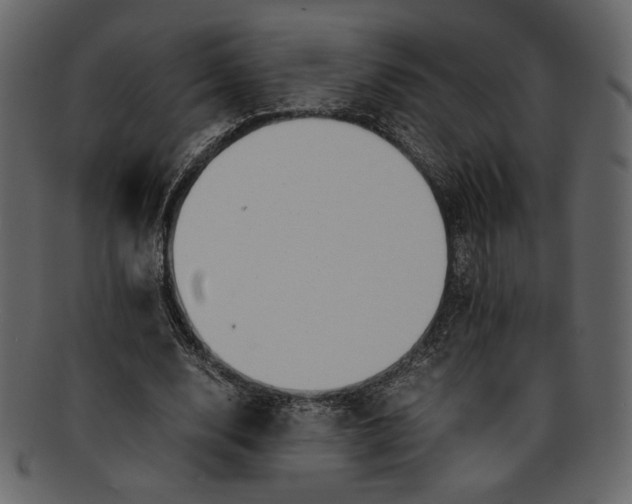 X0000093240632200710171442