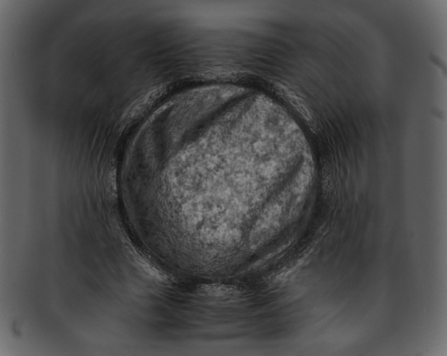 X0000093240633200710171442