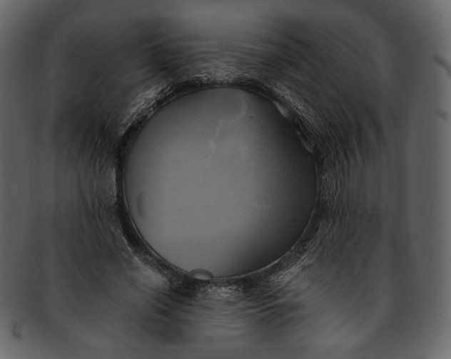 X0000093240638200710171442