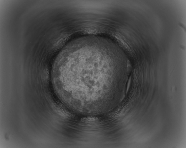 X0000093240639200710171442