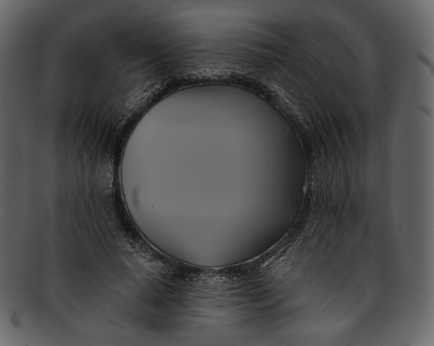 X0000093240640200710171442