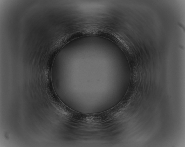 X0000093240641200710171442