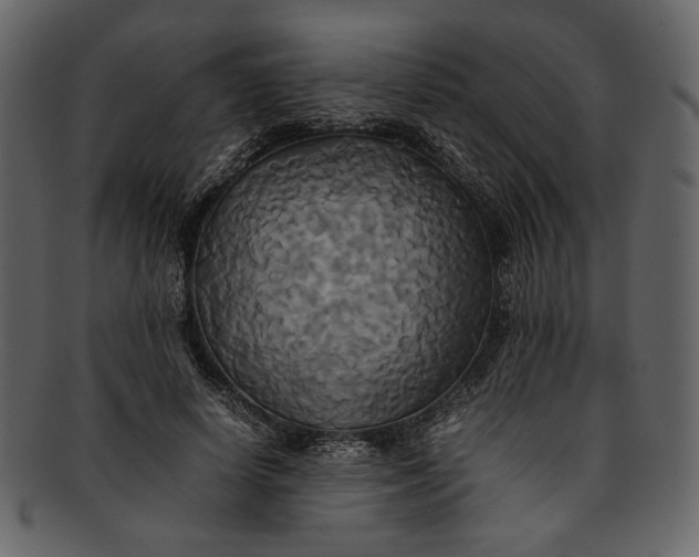 X0000093240642200710171442