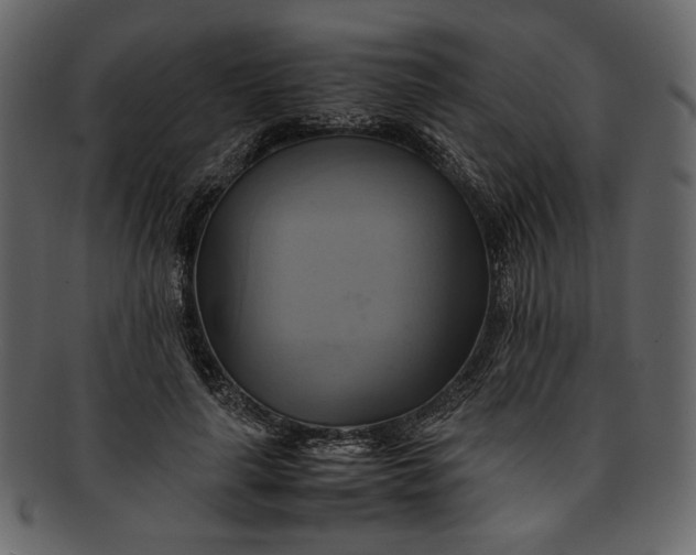 X0000093240643200710171442