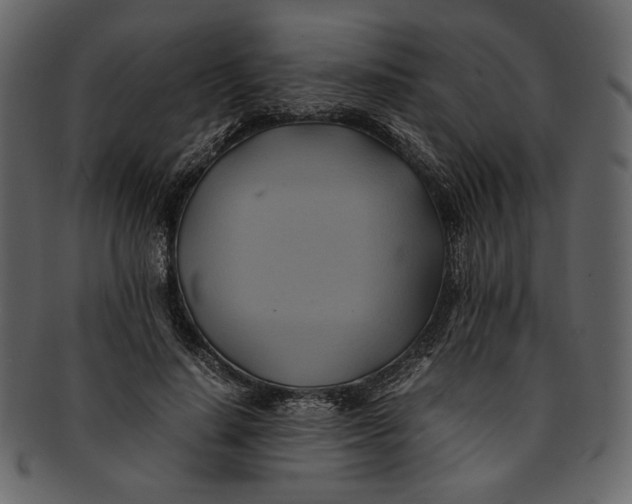 X0000093240644200710171442