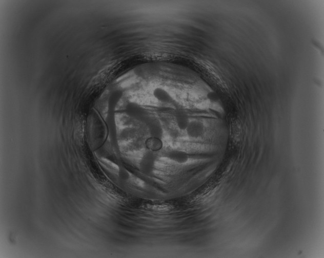 X0000093240645200710171442