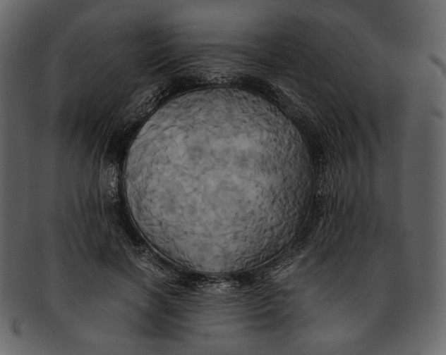 X0000093240646200710171442