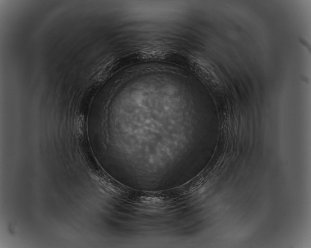 X0000093240649200710171442