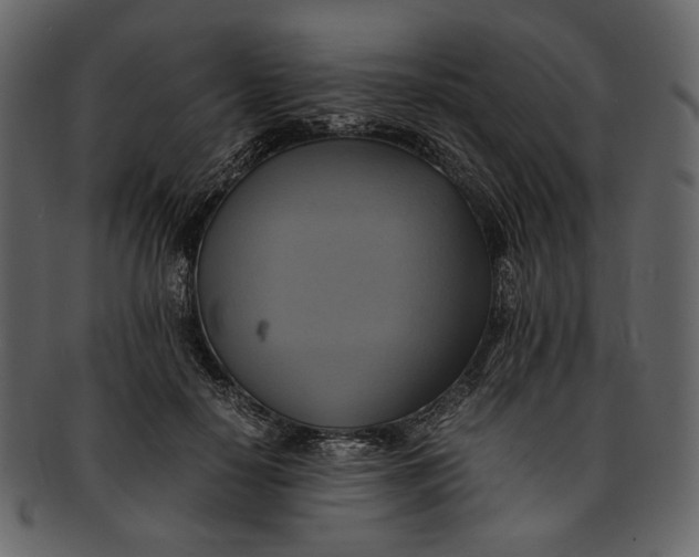 X0000093240650200710171442