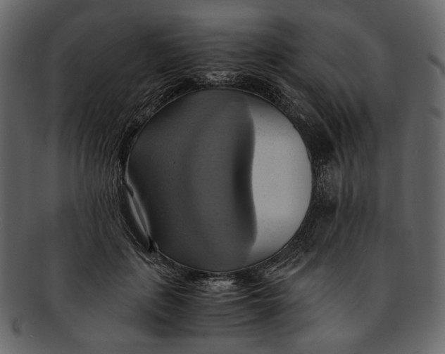 X0000093240651200710171442