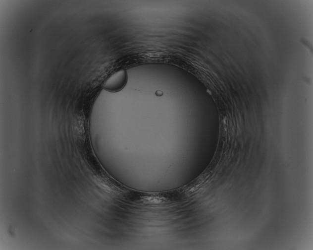 X0000093240654200710171442