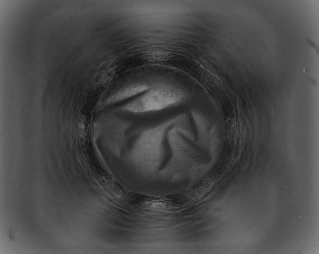 X0000093240655200710171442