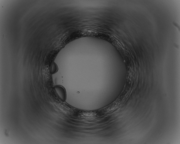 X0000093240659200710171442