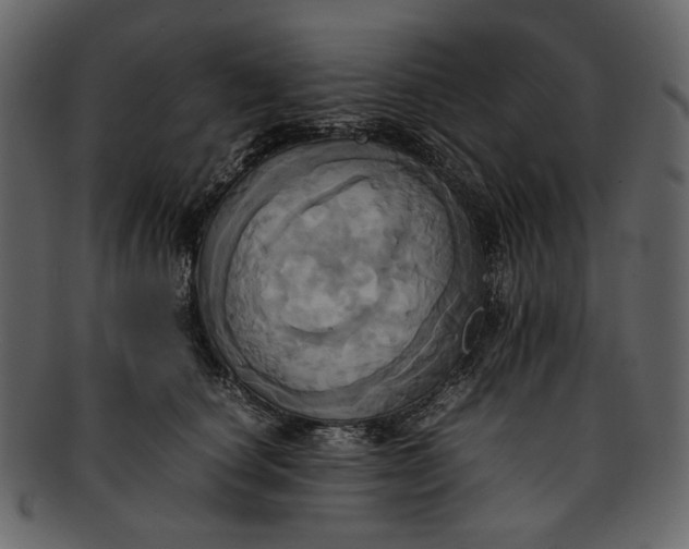 X0000093240660200710171442