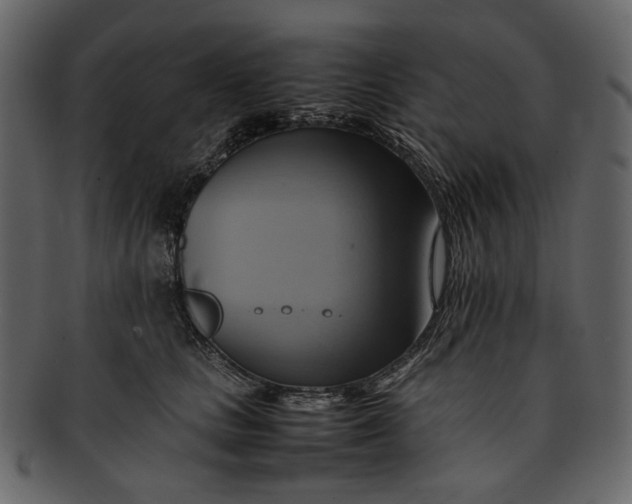 X0000093240661200710171442