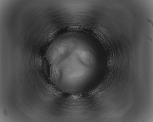 X0000093240662200710171442