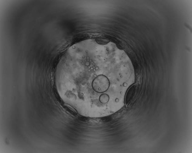 X0000093240666200710171442