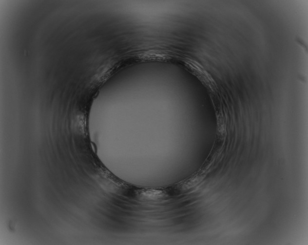 X0000093240669200710171442