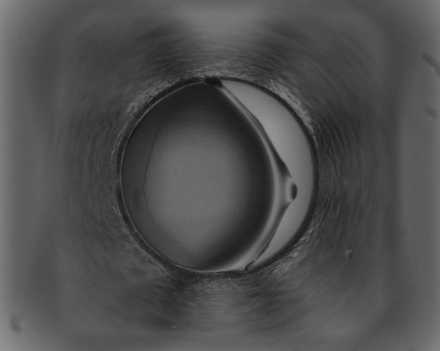 X0000093240673200710171441