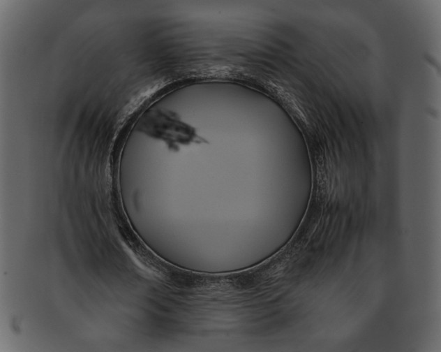 X0000093240674200710171441