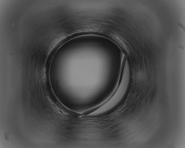 X0000093240676200710171441