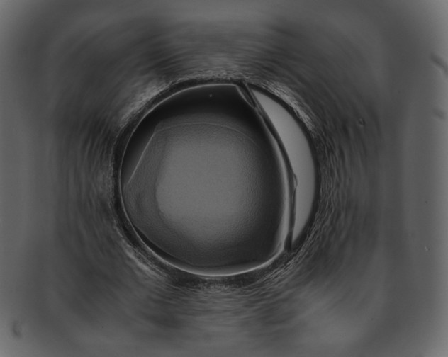 X0000093240677200710171441