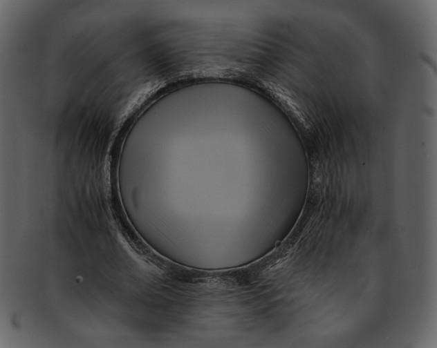 X0000093240678200710171441