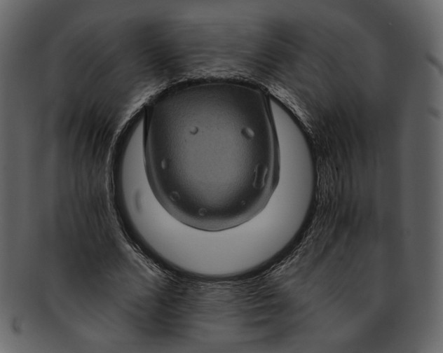 X0000093240680200710171441