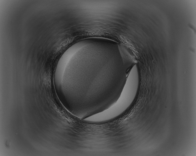 X0000093240681200710171441